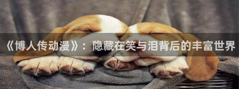 age动漫下载安装官方下载