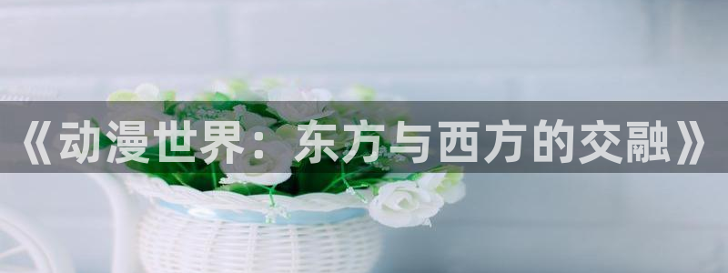 age动漫动画官方正版入口