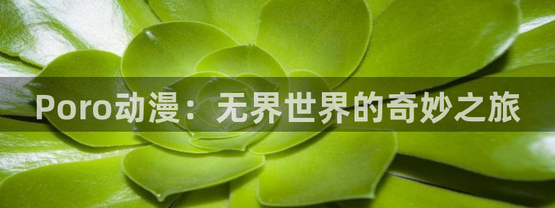 age动漫官网在线观看：Poro动漫：无界世界的奇妙之旅