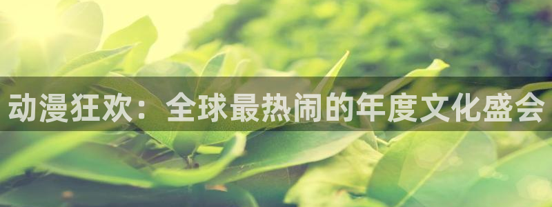 age动漫是什么：动漫狂欢：全球最热闹的年度文化盛会