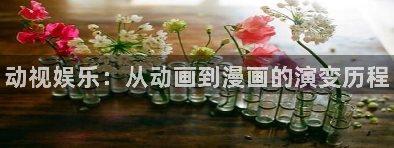 age动漫官网地址：动视娱乐：从动画到漫画的演变历程